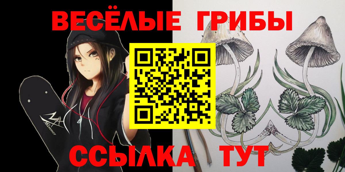 Галлюциногенные грибы Psilocybine cubensis Новосибирск
