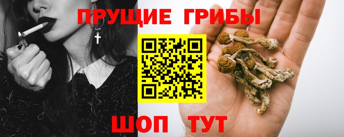 Псилоцибиновые грибы Psilocybine cubensis  Галлюциногенные грибы мухоморы  Вход с VPN  Новосибирск 
